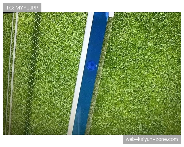 门线悬案：VAR如何判定球是否整体过线？